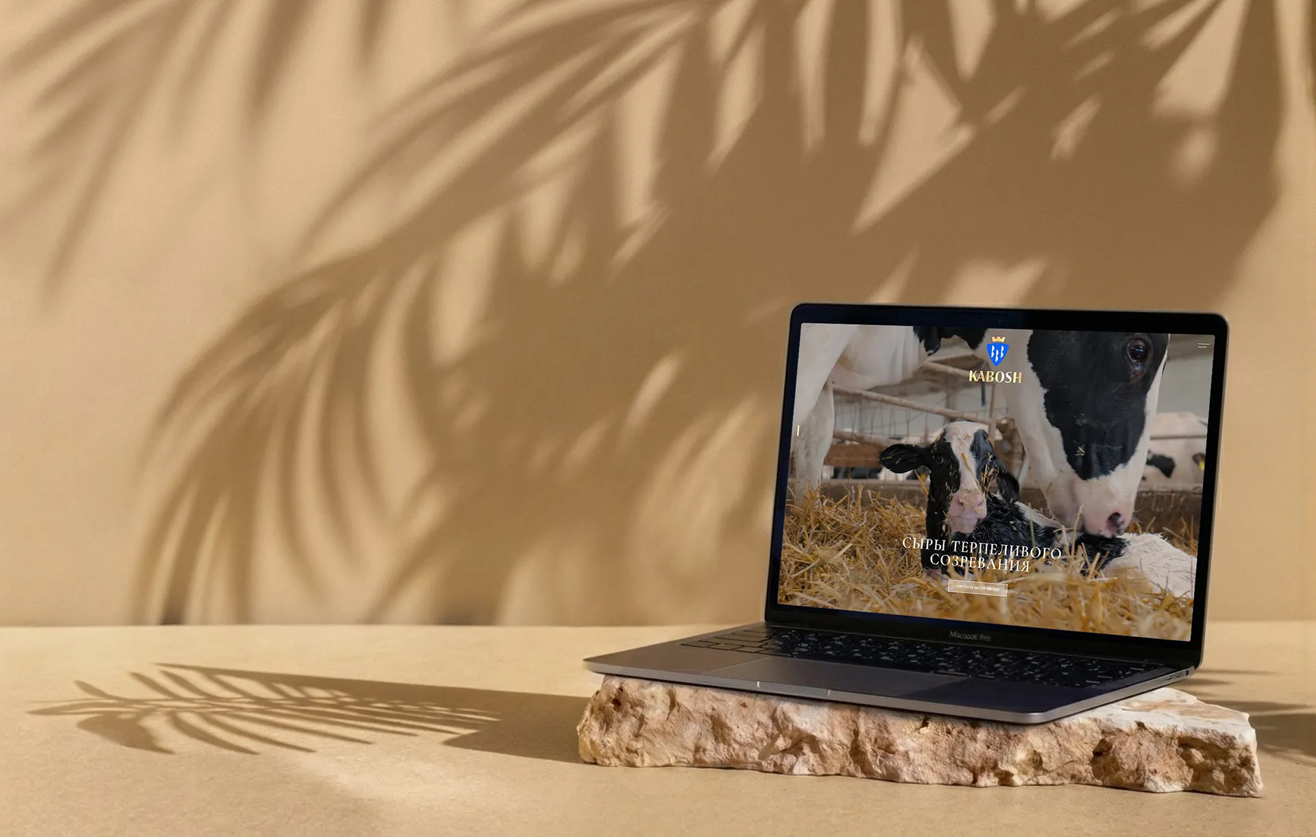 Главный баннер